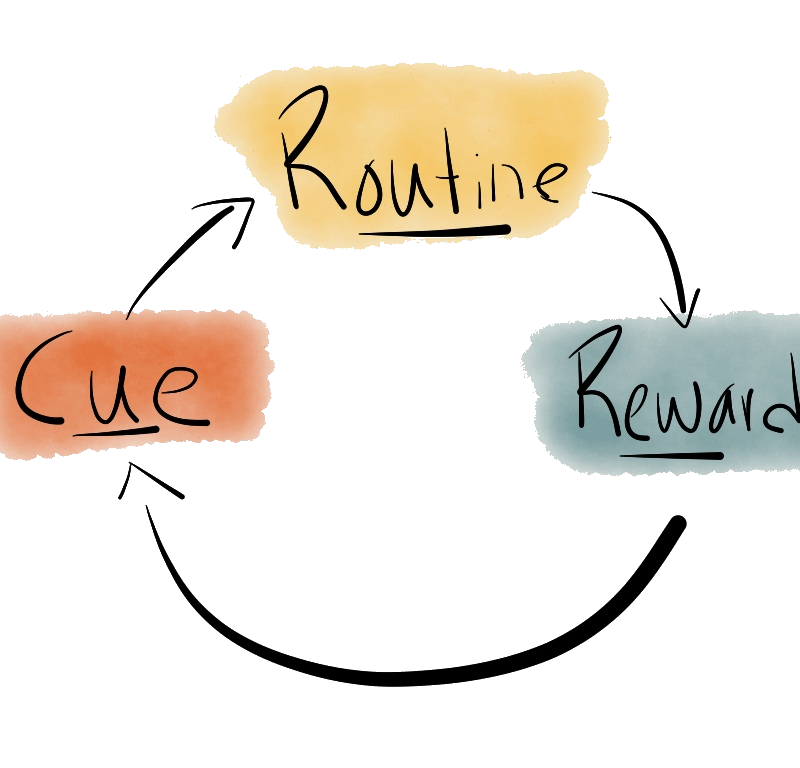 Habit loop