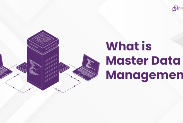 Master Data Management