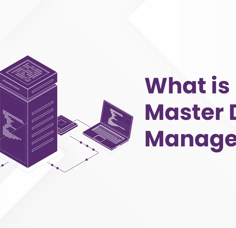 Master Data Management