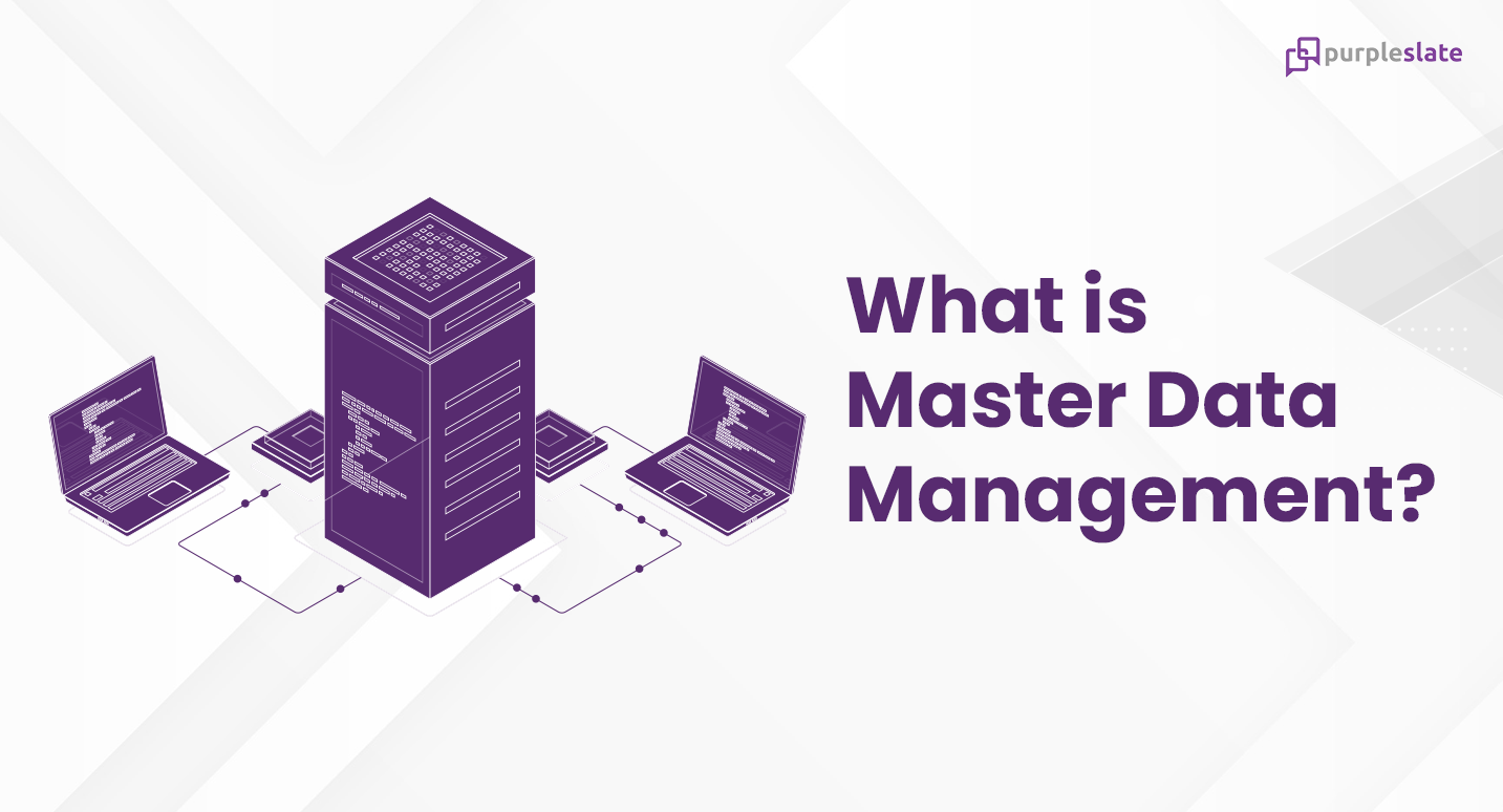 Master Data Management