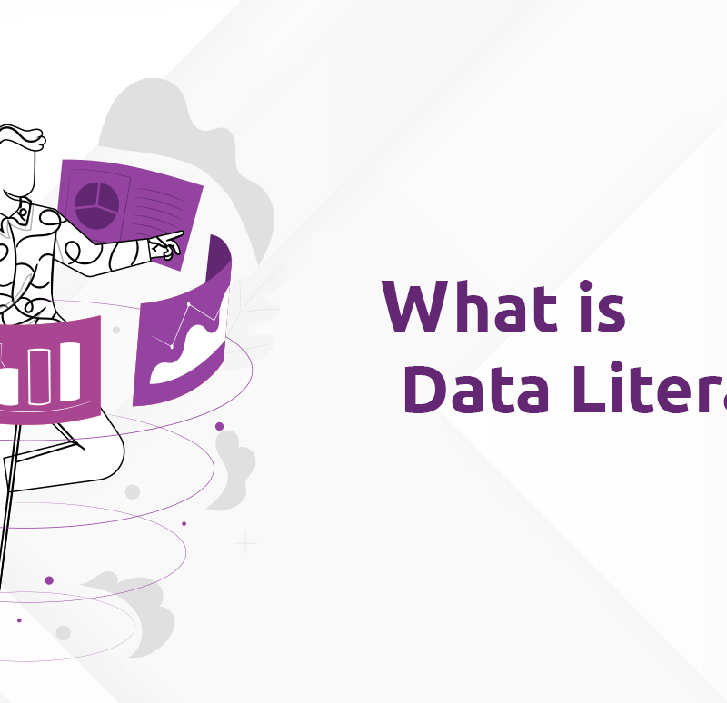 Data Literacy