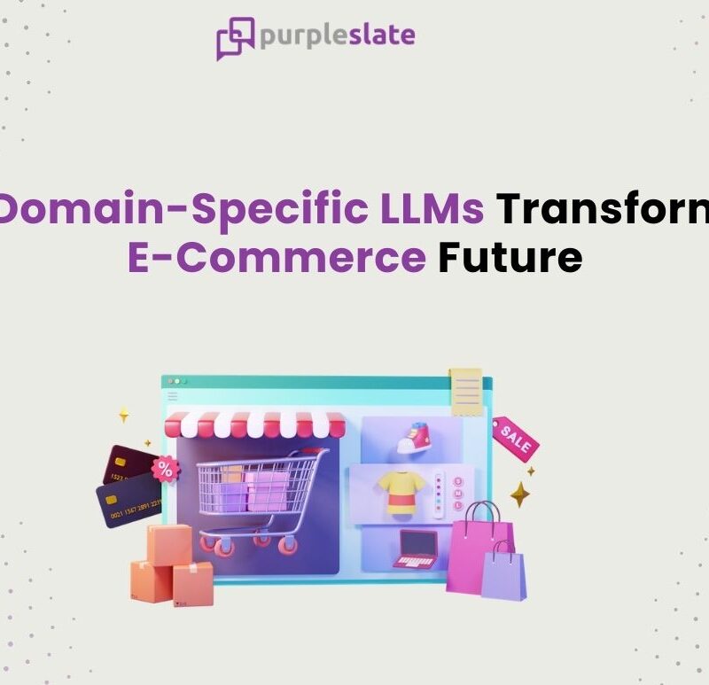 Ecommerce with Domain Specific LLMs